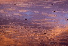 У Србији данас облачно време, могућа киша и суснежица Време — Kиша