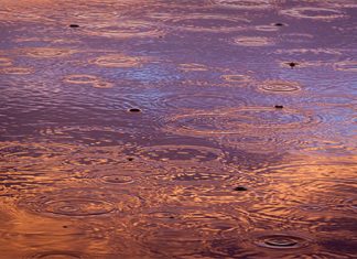 У Србији данас облачно време, могућа киша и суснежица Време — Kиша