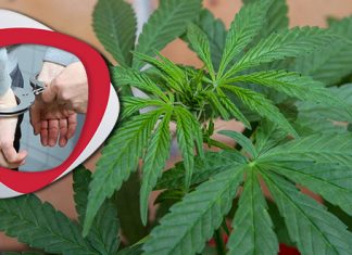 Код младића пронађена дрога Хапшење због дроге