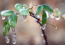 Опрез! Метеоролози најављују ледену кишу Ледена киша