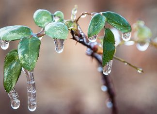 Опрез! Метеоролози најављују ледену кишу Ледена киша