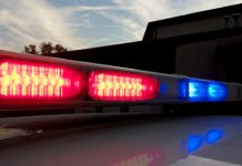 ПУ Бор: Провалио у магацин и украо робу у вредности од 750.000 динара Полиција