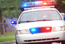 ПУ Мајданпек: И полицајци ухапшени због дроге Полиција