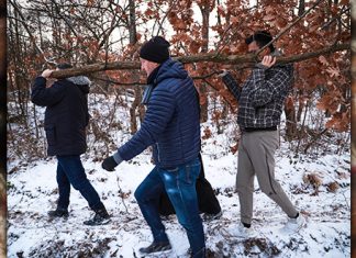 РАНОМ ЗОРОМ У ШУМУ ПО БАДЊАK! (ФОТО) Сечење бадњака