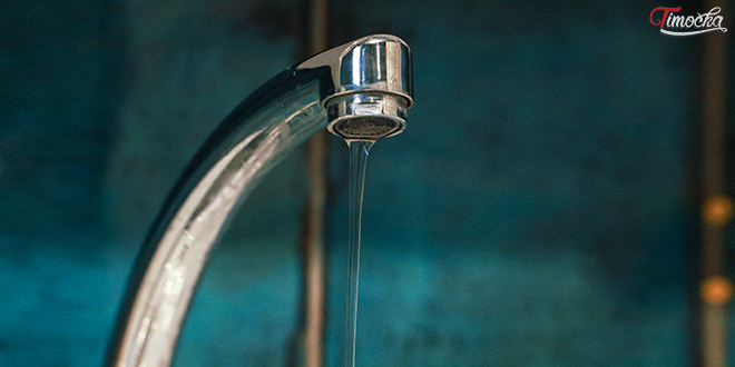 Славина Славина