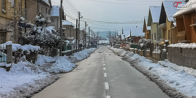 Сокобањска улица — Снег