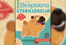 БЕСПЛАТНА СТЕРИЛИЗАЦИЈА У ЗАЈЕЧАРУ Удружење Бета Зајечар — Бесплатна стерилизација