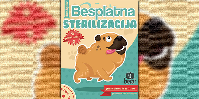 Удружење Бета Зајечар — Бесплатна стерилизација