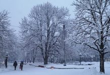 КОНАЧНО! Поподне престанак падавина Зајечар — Центар — Снег