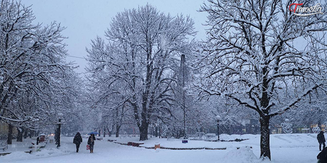 Зајечар — Центар — Снег Зајечар — Центар — Снег