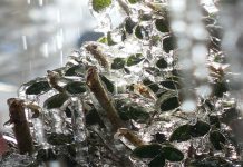 У Србији пада ледена киша, поподне се очекује нова тура снега Ледена киша