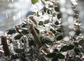 У Србији пада ледена киша, поподне се очекује нова тура снега Ледена киша