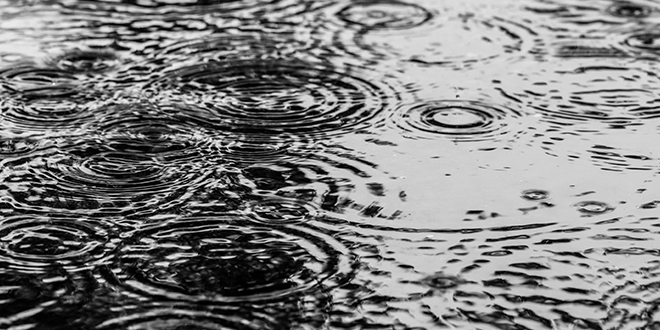 Бара — Киша