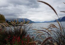 Поново стиже пролеће, температуре за викенд и до 15 степени Језеро