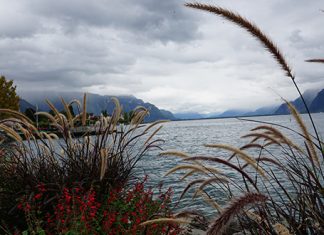 Поново стиже пролеће, температуре за викенд и до 15 степени Језеро