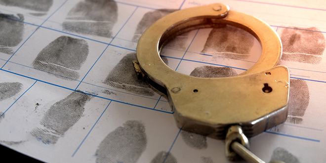 Лисице Отисци — прстију