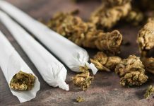 ПУ Бор: Пронађена марихуана, ухапшен осумњичени Марихуана