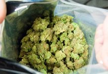 ПУ Бор: Кривична пријава против седамнаестогодишњака због држања дроге Марихуана — Врећа