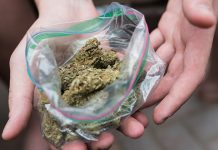 ПУ Кладово: Кривична пријава због дроге и резаног дувана Марихуана — Врећица