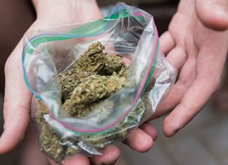 Неготин: Ухапшени осумњичени за трговину дрогом Марихуана — Врећица