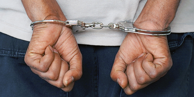 Руке у лисицама