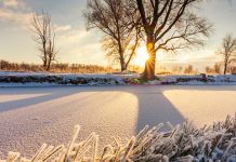 У Зајечару данас претежно ведро и сунчано време Зимско јутро, мраз