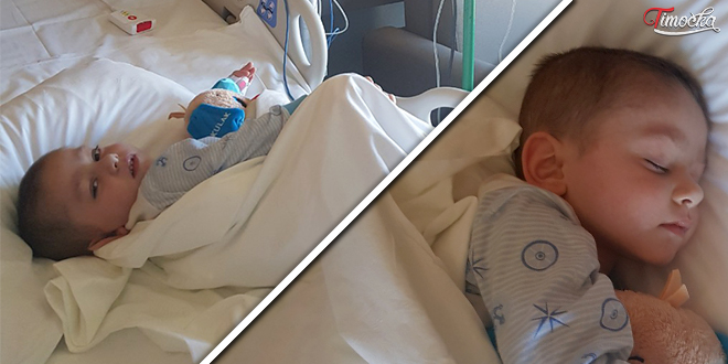 Богдан Гицовић