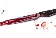 УЖАС У НЕГОТИНУ: Свекрва ушла у собу, снају затекла у локви крви Крвав нож