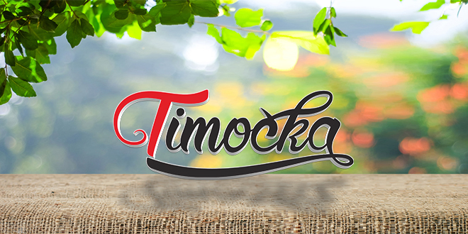 Лого „Тимочка” на празном столу — Пролећни дан Лого „Тимочка” на празном столу — Пролећни дан