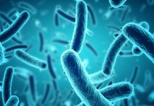 Супербактерије — највећа претња по здравље? Бактерије
