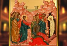 Данас је Лазарева субота – Врбица Лазарева субота – Врбица