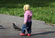 У Зајечару облачно, максимална дневна око 20 степени Мало дете се игра са голубовима