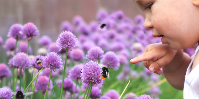 Дете упире прстом у бумбара који се налази на цвету