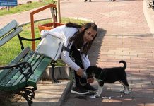 Ведро и сунчано, максимална дневна температура и до 24 степена Девојчица седи на клупи и даје воду из флашице свом псу