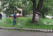 Почело кошење траве у зајечарским насељима Кошење траве у зајечарским насељима