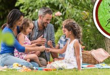 Излетници, чувајте се крпеља Породица ужива у пикнику, крпељ