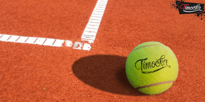 Тимочка — Тенис Тимочка — Тенис