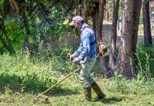 Акција уређења зелених површина у Гамзиградској бањи успешно реализована Акција уређења зелених површина у Гамзиградској Бањи