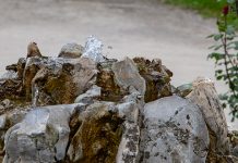 Данас променљиво облачно, местимично са кишом, максимална дневна температура око 23 степена Факултет за менаџмент Зајечар — Фонтана