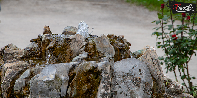 Факултет за менаџмент Зајечар &mdash; Фонтана