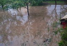 Дан после временске непогоде: Мештани Kотлујевца претрпели огромну штету (ФОТО + ВИДЕО) Мештани Котлујевца претрпели велику штету због временских неприлика