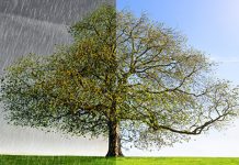 Променљиво време: Сунце, облаци и киша, максимална дневна температура око 28 степени Променљиво време — Киша / Сунце