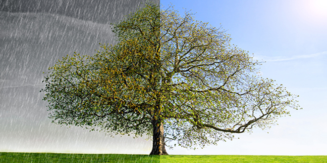 Променљиво време &mdash; Киша / Сунце