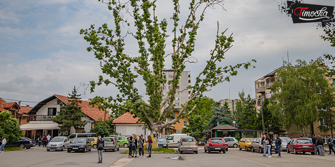 Зајечар &mdash; Двориште &mdash; Средње школе