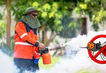 Третман сузбијања ларви комараца почиње 24. јуна на подручју Зајечарског управног округа Запрашивање ради сузбијања комараца