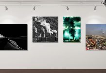 14. окружна изложба „Еколошка истина” 16. јула у Зајечару 14. окружна изложба „Еколошка истина” у Зајечару