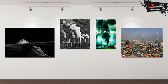 14. окружна изложба „Еколошка истина” у Зајечару