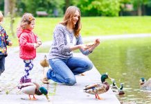 Данас и сутра претежно облачно у Зајечару, максимална дневна температура и до 33 степена Мајка са децом храни патке у парку