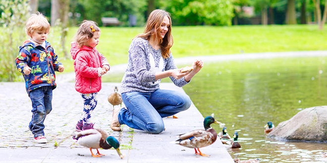 Мајка са децом храни патке у парку Мајка са децом храни патке у парку