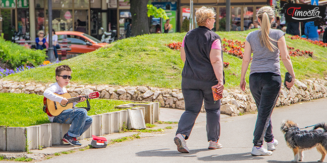 Зајечар &mdash; Центар